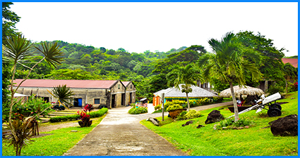 belmont estate grenada tour