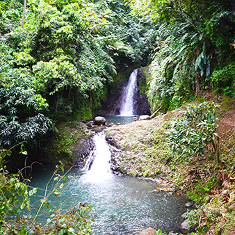 Grenada Tours Attractions Shore Excursions Taxi Cab Bus